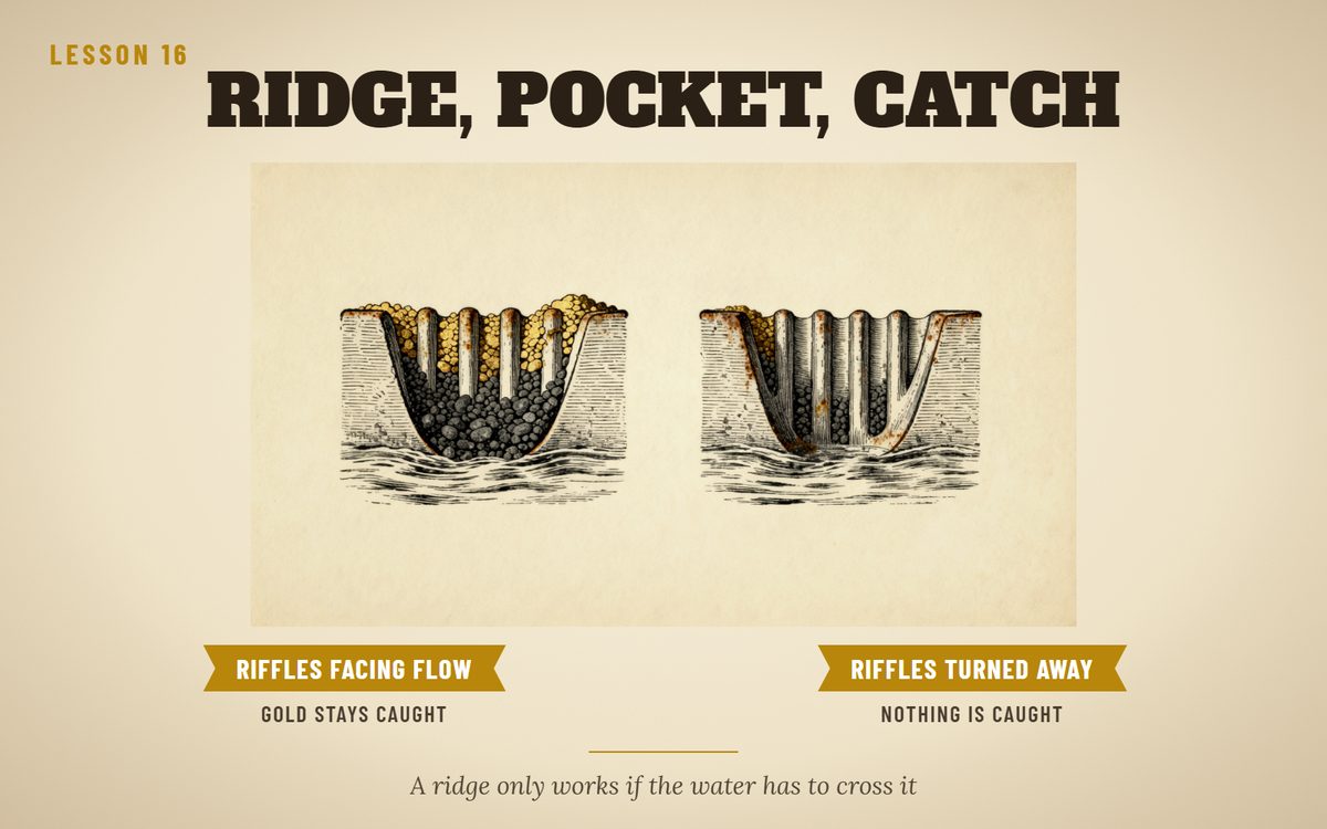 Lesson 16 drawing